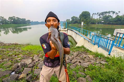 Serunya Berburu Ikan Dengan Senapan Angin