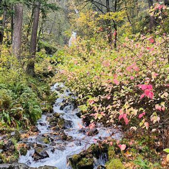 Wahkeena Falls Loop Trail Updated January Photos