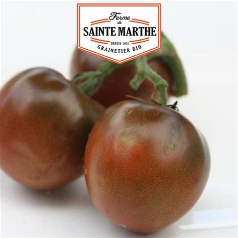 Tomate Noire Russe Graines La Ferme Sainte Marthe