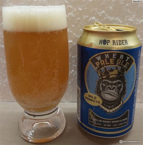 Пиво Hop Rider Wheat Pale Ale За такую стоимость пойдет отзывы