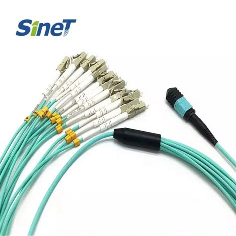 Cores Mpo Mtp Sm Om Om Om Fiber Optic Patch Cord Mpo China