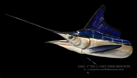 White Marlin Fish Mount and Fish Replicas | Coast-to-Coast