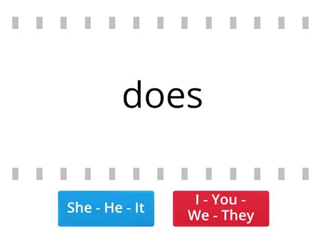 Present Simple Conjugation Level A English Profile Part