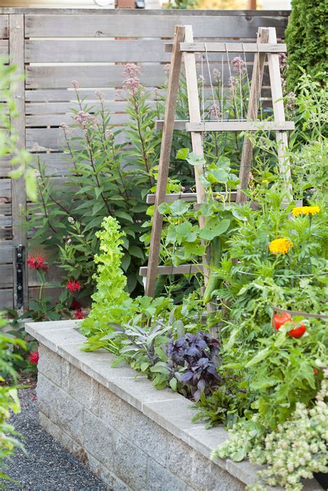 15 Vegetable Garden Fence Ideas To Protect Your Plants