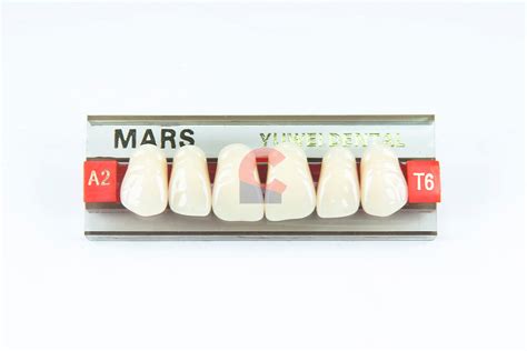 MARS Pontics T6 A2 New Citizens Dental Supply And General Merchandise