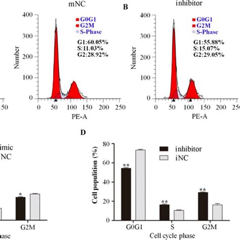 Mir B P Induced Cell Cycle Arrest Of Preadipocytes A B Flow