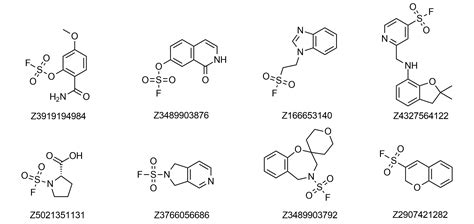 Sulfonyl Fluorides Enamine