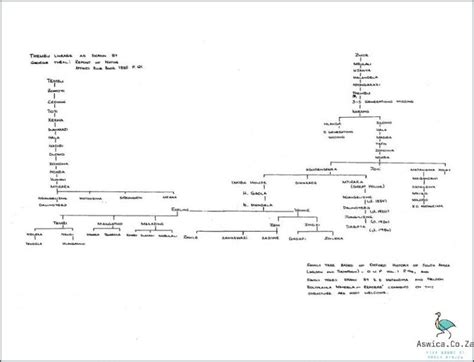 Unravel the Nelson Mandela Family Tree January 2025 - Aswica.Co.Za