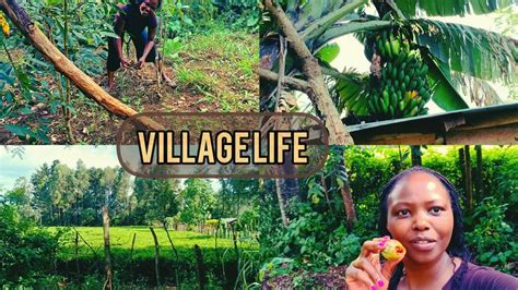 Simple Village Life Farm Tour Kenya Africa 🇰🇪 Youtube