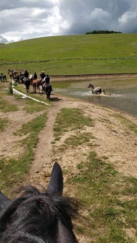 Inizi A Sognare Un Trekking A Cavallo Scegli La Data Per Due Giorni