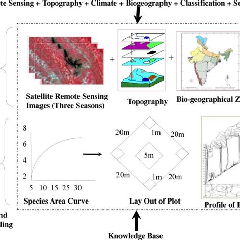 Showing Methodology Of Vegetation Type Mapping Download Scientific