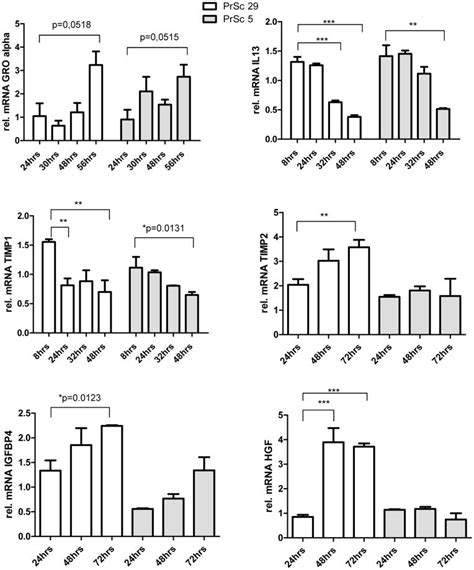 Primary Prostate Stromal Fibroblasts Prsc Were Infected With Xmrv