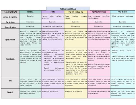 Tabla de reinos biologicos de la naturaleza Biologia CARACTERÍSTICAS