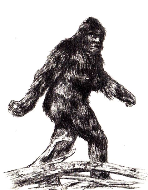 The Legend Of The Jocassee Gorges Sasquatch Bigfoot Drawing Bigfoot