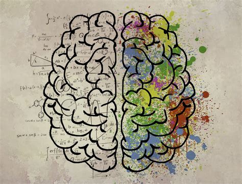 left   hemisphere  sorcerers apprentice syndrome