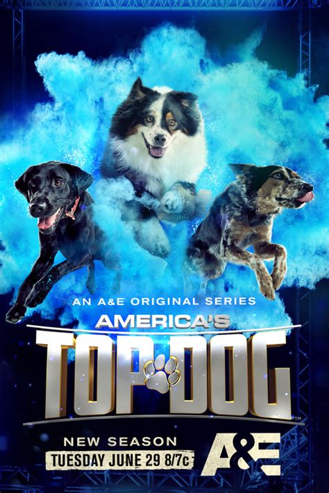 America's Top Dog TV Poster (#1 of 3) - IMP Awards