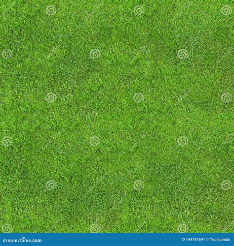 Seamless Green Lush Grass Texture Stock Image Image Of Football Lush