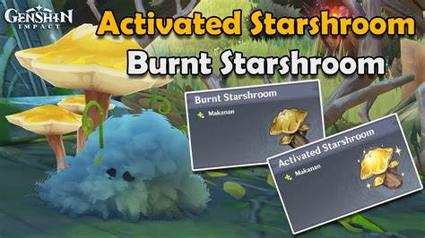 Lokasi Activated Starshroom Burnt Starshroom Cara Mendapatkan