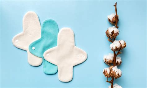 Eco-Friendly Disposable Hygiene Products: A Sustainable Shift | stellarix