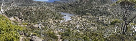 Labyrinth Lookout And Lake Elysia Track Foto S Tasmani