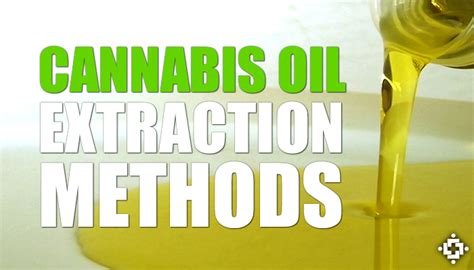 Study: What Is The Best Cannabis Oil Extraction Method?