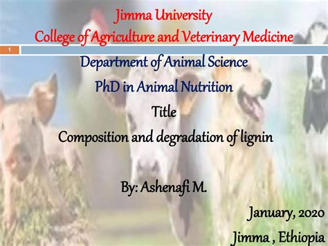 Composition And Degradation Of Lignin Ppt