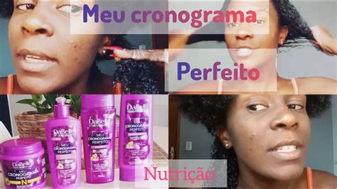 Meu Cronograma Perfeito Dabelle Nutri O Perfeitaa Youtube