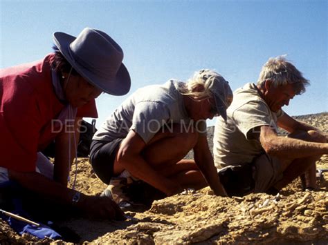 Nomadic Trails In Mongolian Gobi Desert Cultural Journeys