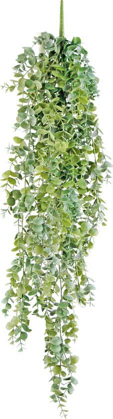 Greenmoods Kunstplanten Kunstplant Hangplant Eucalyptus Cm Bol