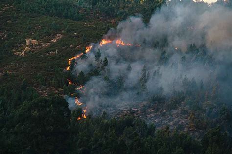 Técnico Profesional En Investigación De Las Causas De Incendios