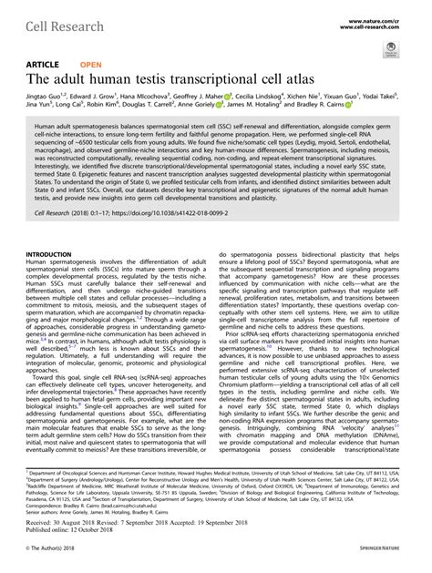 Pdf The Adult Human Testis Transcriptional Cell Atlas