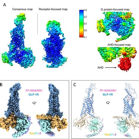 PDF Evolving Cryo EM Structural Approaches For GPCR Drug Discovery