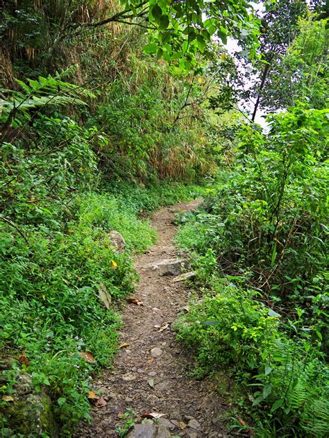 Premium Photo The Road On Mountains In Banaue Of Philippines