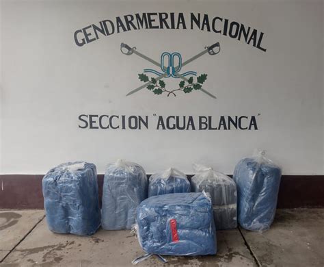 Decomisan En Dos Controles Viales Kilos De Hojas De Coca