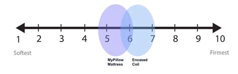 MyPillow Mattress: Independent Customer Reviews (2024)