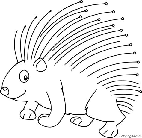 Baby Porcupine Template Coloring Pages | The Best Porn Website