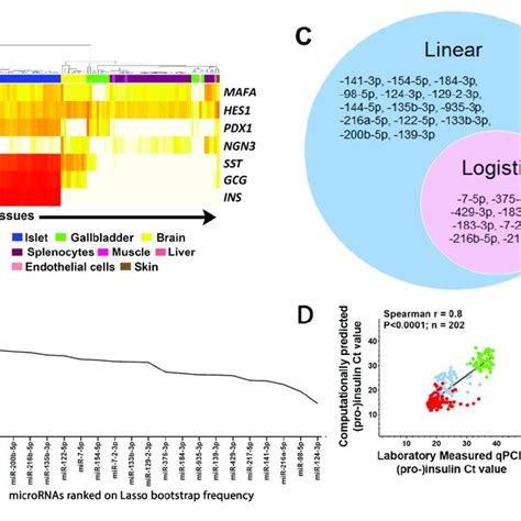 Figure S1 Pancreatic Gene And Microrna Expression Analysis Related To