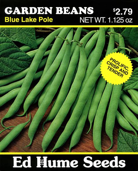 Beans – Blue Lake Pole – Hume Seeds