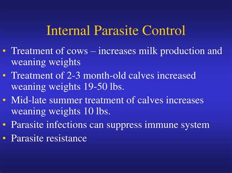 Ppt Summer Management Of Beef Calves Powerpoint Presentation Free