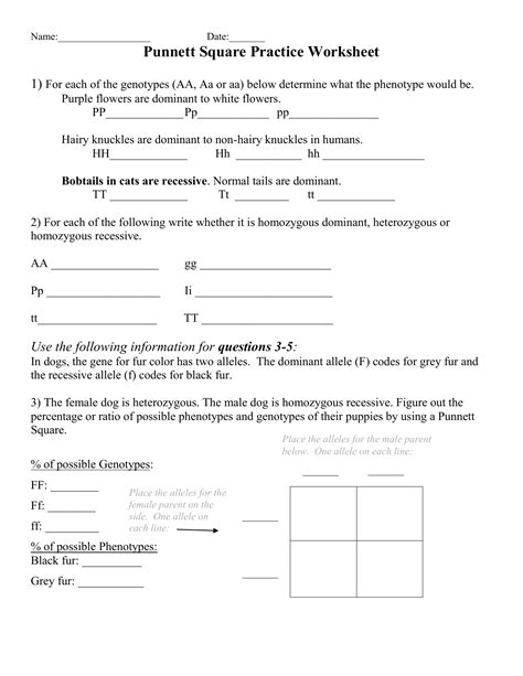 Dihybrid Punnett Square Practice Worksheet