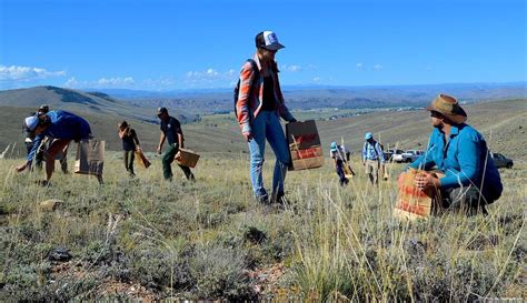 Colleges for Environmental Science | Western Colorado University