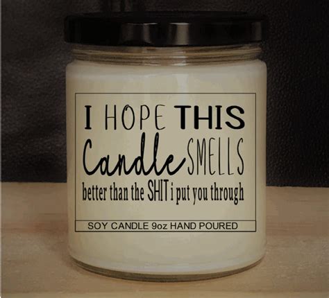 9oz Soy Humor Candle Adult Candle Sarcastic Sorry Etsy