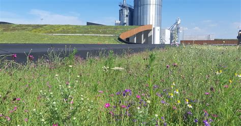 Green Roof Installation Soprema Is Your One Stop Shop