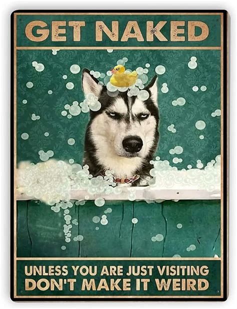 Siberian Husky Metal Sign Get Naked Unless You Are Just Visiting Don T