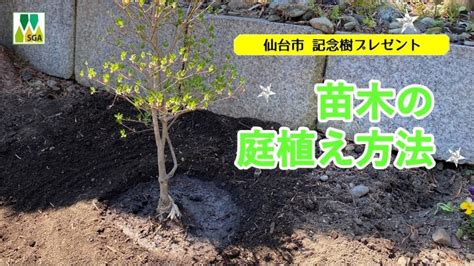 記念樹 苗木の鉢植え・庭植え方法（youtube） 公益財団法人仙台市公園緑地協会