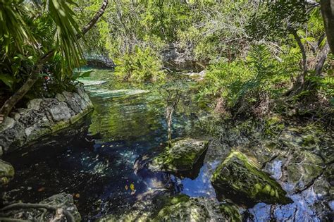 Premium Photo | Cenote azul in mexico