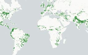 Wad World Atlas Of Desertification