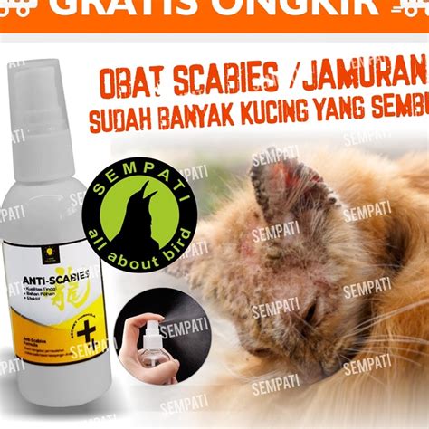 Jual Jdqr7749 Free Ongkir Obat Jamur Kucing Anti Scabies Obat Kulit