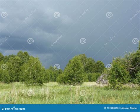 Nuvens De Tempestade Sobre A Floresta E O Campo Foto De Stock Imagem