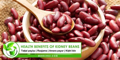 Kidney Beans: Health Benefits, Nutrition Facts & Side Effects ...